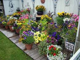 Photos 10 Pretty Container Garden Ideas Garden Containers Container Garden Design Container Plants
