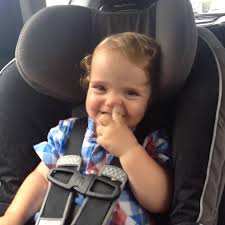 where to find 303 panther rotor housing