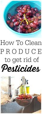 Is domestic produce safer than. How To Remove Pesticides From Fruits And Vegetables Happy Healthy Mama