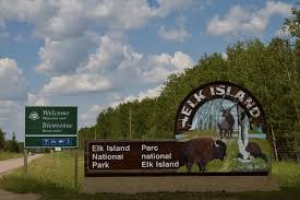 We did not find results for: A Relaxing Visit To Elk Island National Park In Alberta Mojotraveler