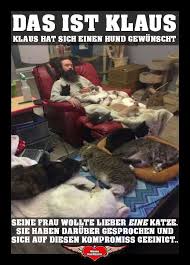 Notitle Lustig Funny Funny Shit Lustig Lustige Katzenbilder