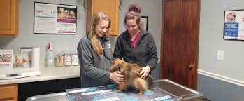 Maybe you would like to learn more about one of these? Vets In Franksville Wi Franksville Veterinary Clinic