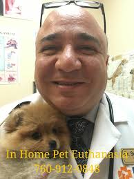 Family veterinary inc is a mobile veterinarian providing pet home euthanasia services in los angeles, sherman oaks, beverly hills, encino, toluca lake, burbank, studio city, north hollywood, van nuys, hollywood hills, pacific palisades, la canada flintridge and more. Pet Home Euthanasia Service In Los Angeles Orange County Riverside