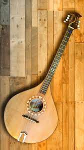 Irish Bouzouki Made By Me Mandolin Music Instruments Instruments