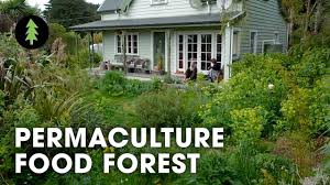 Food forest abundance helps families achieve an organic, healthy, and sustainable lifestyle by installing gardens and edible landscapes. Amazing 23 Year Old Permaculture Food Forest An Invitation For Wildness Youtube