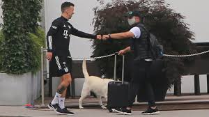 Hansi flick (55) geht auf kuschelkurs! Bayern Germany On Twitter Hansi Flick With His Wife Silke And His Dog At The Training Ground Today Flick Met Ivan Perisic Who Was Having A Rehab Session At Sabener