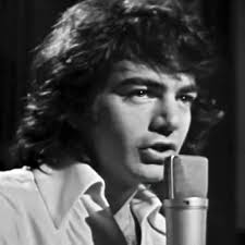 Who else is a fan of Neil Diamond?