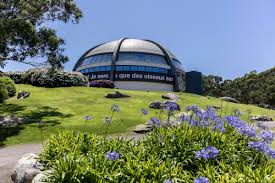 Mia saaoud x everyone need to check out this woman - she is