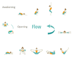 Vinyasa is best used in warmups and during sun salutation sequences. Vinyasa Yoga Sequences Foundational Sequences For Yoga Teachers Tummee Com