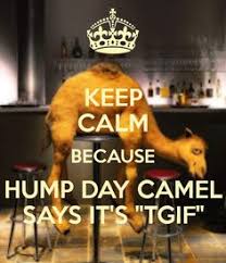Search free camel hump day ringtones on zedge and personalize your phone to suit you. Hump Day Camel