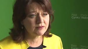 Plaid Cymru treasurer Nigel Copner quits over 'threats'