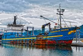 Guess What Happened to Deadliest Catch's Cornelia Marie? Shocking Twist  Revealed