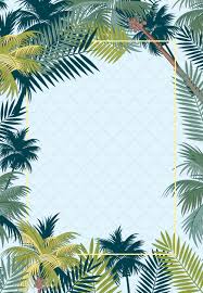 Arbre Palm Tropical Holly Contexte Affiche Tropicale Cadre Fleur Fond D Ecran Telephone