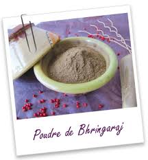 Poudre Ayurvedique Bhringaraj Aroma Zone Recette De Henne Poudre Ayurvedique Cheveux