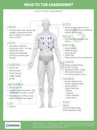 Examples of these pathologic states include but are not limited to: Fund 1 10 Head To Toe Assessment Lung Pulse