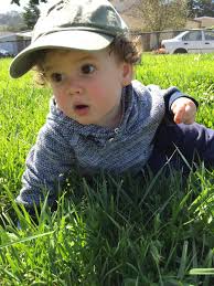 Dolores Stack Obituary (2016)