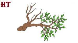 How to draw tree branches easy, without leaves, dead branches, realis. How To Draw A Tree Branch Step By Step Tree Drawing Easy