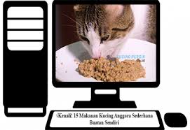 Sebelum nya anabul di rumah udah nyobain beberapa merk dry food. Kenali 15 Makanan Kucing Anggora Sederhana Buatan Sendiri