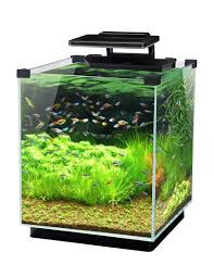 Penn Plax Simplicity 5 5 Gallon Aquarium With Built In Filter And Led Light 5 Gallon Aquarium Aquarium Led Lights