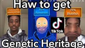 Find Out Your Genetic Heritage Scanner Filter On Instagram And Tiktok Youtube