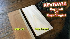 This is the new ebay. Qna Review Lengkap Kayu Sungkai Apakah Recomended Dibuat Furniture Youtube