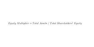 Equity Multiplier Definition