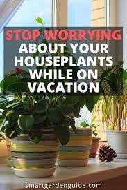 How To Water Indoor Plants While On Vacation Learn How To Water Houseplants Indoors While You Are On Holiday Take The Str Houseplants House Plant Care Plants