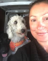 Stay & Play Dog Boarding Isle of Man