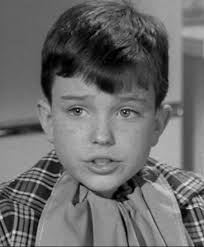 Not Beaver!! This is Jimmy Mathers, The Beav's little brother from a scene  in “Bewitched”! He's now a Cinematographer. 2nd pic is the Mathers family.  #childstar #leaveittobeaver