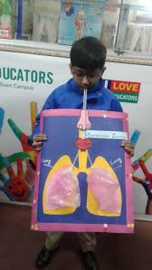 Grade Three Activity Science Respiratory System The Educators Model Town Campus