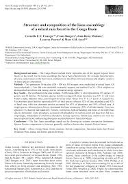 Image result for Millettia psilopetala