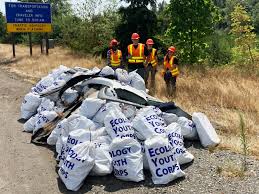 نتیجه جستجوی لغت [litter] در گوگل