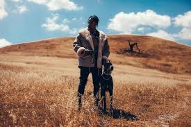 Over 40,000+ cool wallpapers to choose from. Travis Scott Wallpaper 6000x4000 Hd Wallpapers Market