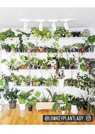 Highland Track Light System Soltech Solutions Growing Plants Indoors Lighting System Light Green Walls