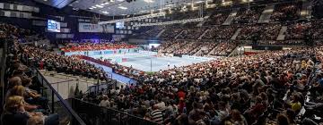 The 2020 erste bank open was a men's tennis tournament played on indoor hard courts.it was the 46th edition of the event, and part of the atp tour 500 series of the 2020 atp tour.it was held at the wiener stadthalle in vienna, austria, from 26 october until 1 november 2020. Erste Bank Open Vienna Austria Championship Tennis Tours