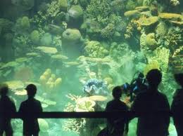 Insider Tips For The Columbus Zoo Columbus Zoo Zoo Columbus Ohio Zoo