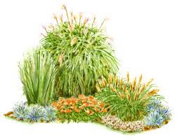 For a natural look, expect to pay £25 to £40 per square metre. Corner Of Grasses Better Homes Gardens