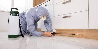 Our company will be servicing n.c. Pest Control Ocean Isle Beach Nc Canady S Termite Pest Control
