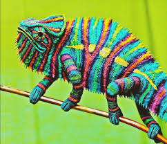 Crystal Fish On Twitter Animals Animals Beautiful Reptiles