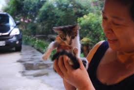 Leee.mobi,SFL & Musicians, Jade & Alisan Mountains tour,1 …