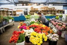 Check spelling or type a new query. Bay Area Florists Wilting Under Shelter In Place Restrictions Kqed