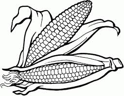 Gambar Mewarnai Jagung Terbaru Gambarcoloring