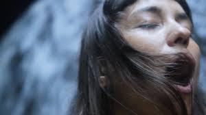 In the Wilderness — The Interior Beauty Salon