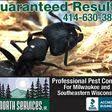 Maybe you would like to learn more about one of these? The 10 Best Bat Removal Services In Milwaukee Wi 2020 Porch