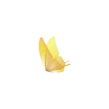 Imagegx Liked On Polyvore Featuring Butterflies Fillers Backgrounds Animals And Yellow Yellow Butterfly Tattoo Yellow Tattoo Butterfly Tattoo