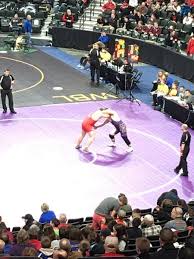 Wrestlers Compete in MSHSL Championships