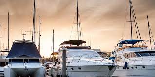 Call new port richey wildlife removal for animal removal and wildlife control throughout harris, montgomery and walker counties. New Port Richey Pest Control Termite Treatment Rodent Widlife Control