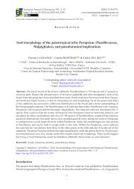 Image result for Paropsia grewioides