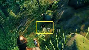 The trees that drop seeds are the following: Valheim Seeds How To Use Them Valheim Guide Gamepressure Com