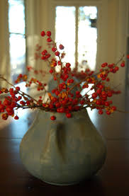 Image result for decorating with cranberries Vines